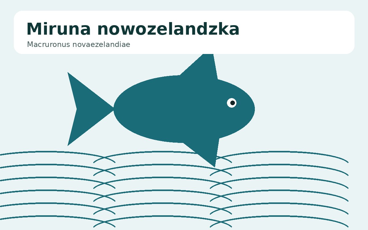 Miruna nowozelandzka